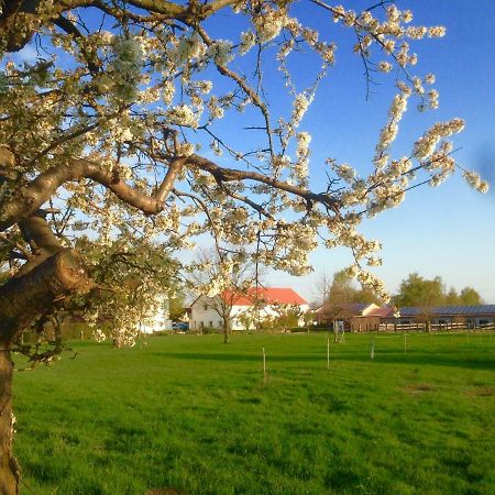 Ferienwohnung Zweinig 01 ภายนอก รูปภาพ