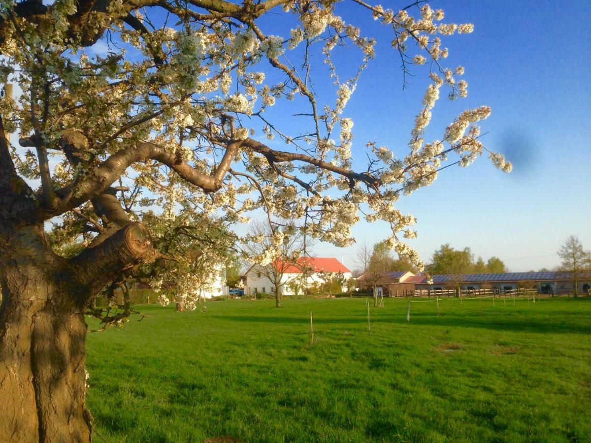 Ferienwohnung Zweinig 01 ภายนอก รูปภาพ